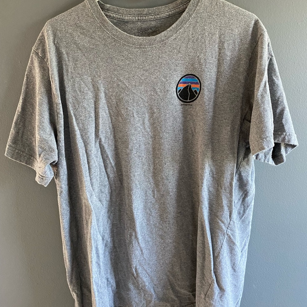 Patagonia T shirt